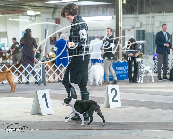20240328-DSC02579