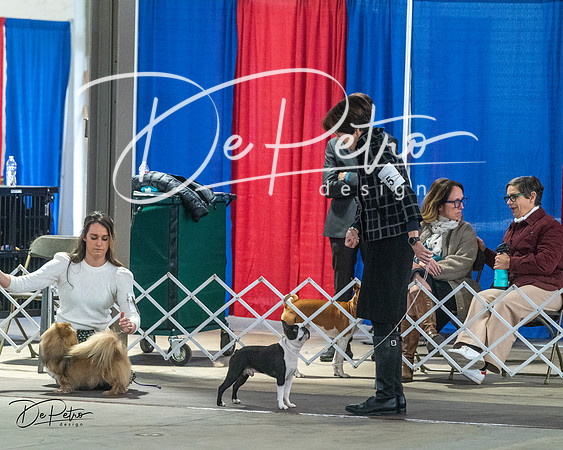 20240328-DSC02611