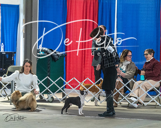 20240328-DSC02612