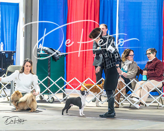 20240328-DSC02613
