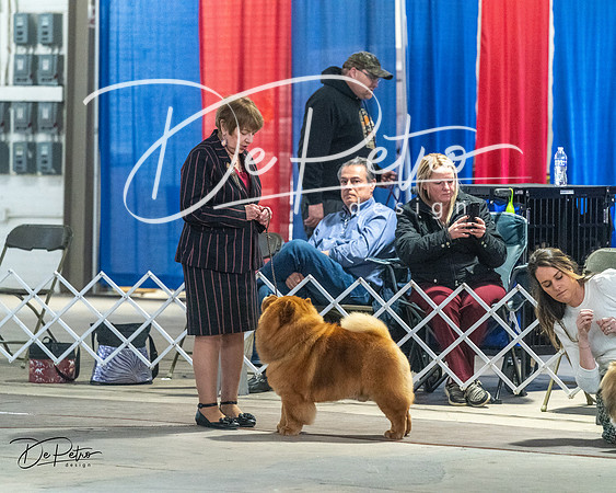 20240328-DSC02622