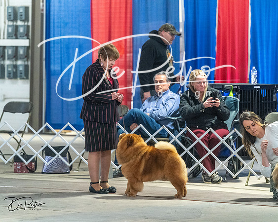 20240328-DSC02623