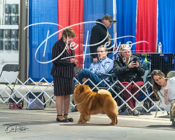 20240328-DSC02624