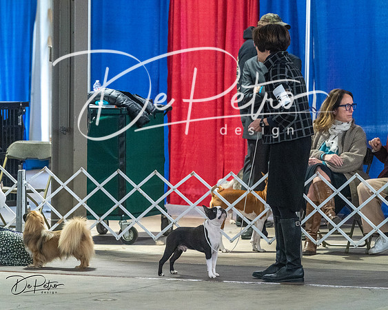 20240328-DSC02630