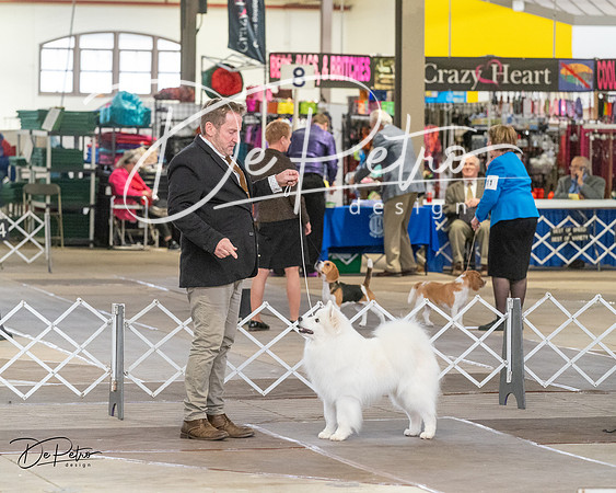 20240328-DSC02649