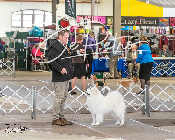 20240328-DSC02650
