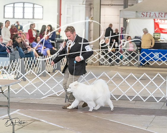 20240328-DSC02666