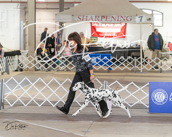 20240328-DSC02682
