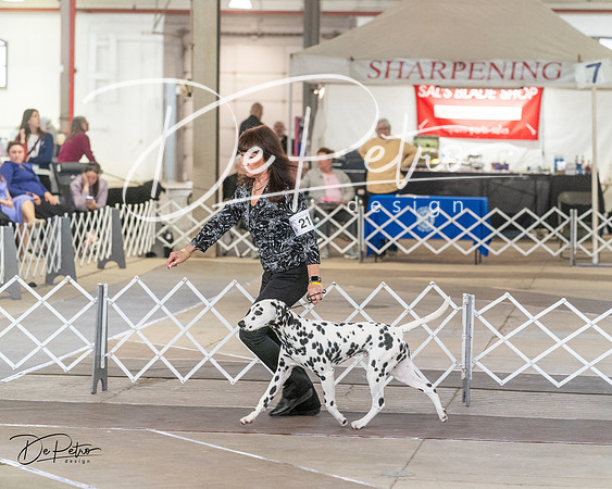 20240328-DSC02687