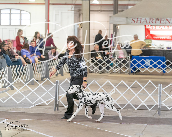 20240328-DSC02692