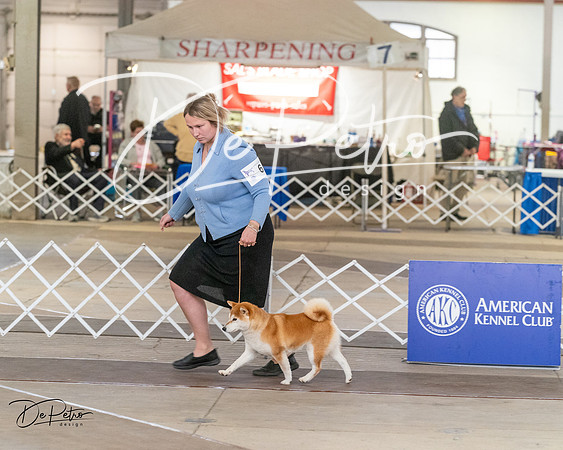 20240328-DSC02728