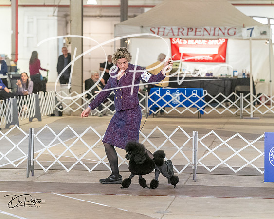 20240328-DSC02746