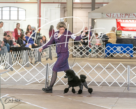 20240328-DSC02753