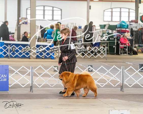 20240328-DSC02780