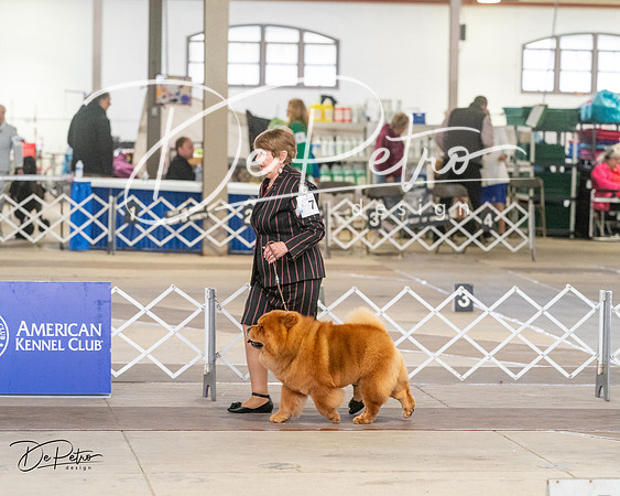 20240328-DSC02785