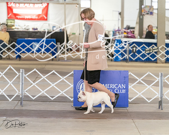 20240328-DSC02888