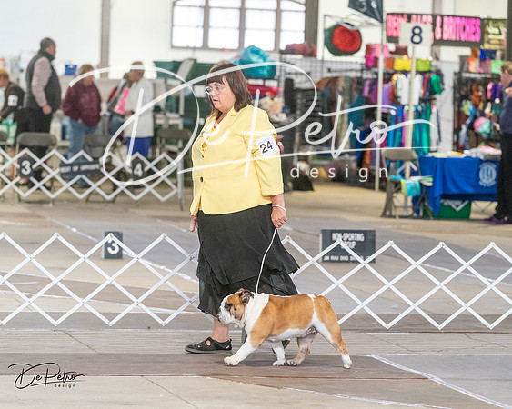 20240328-DSC02895
