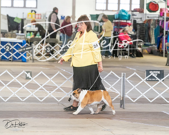 20240328-DSC02903