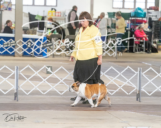 20240328-DSC02907