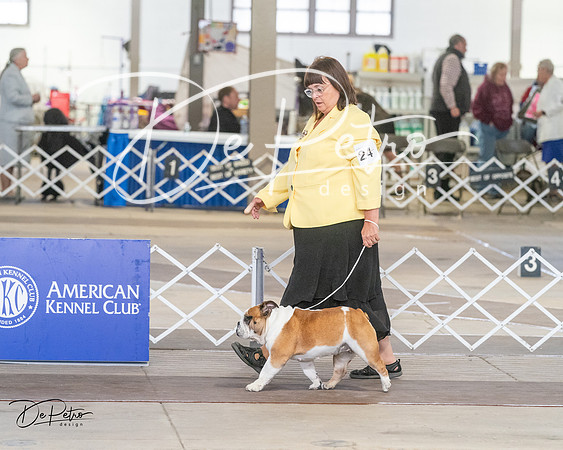 20240328-DSC02919