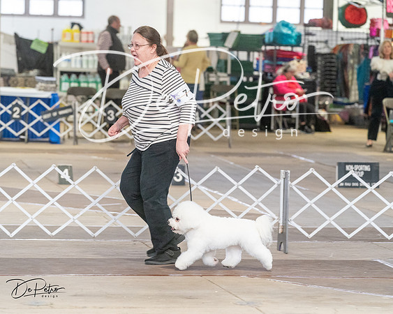 20240328-DSC02925