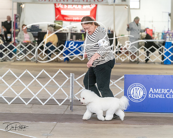 20240328-DSC02936