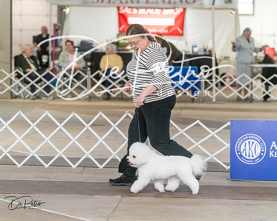 20240328-DSC02939