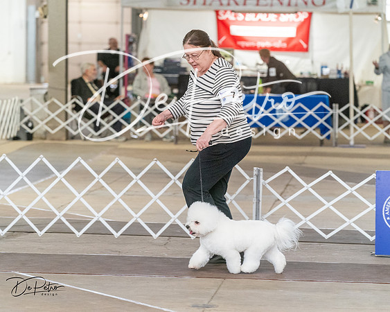 20240328-DSC02942