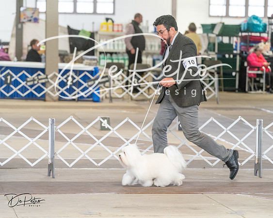 20240328-DSC02946