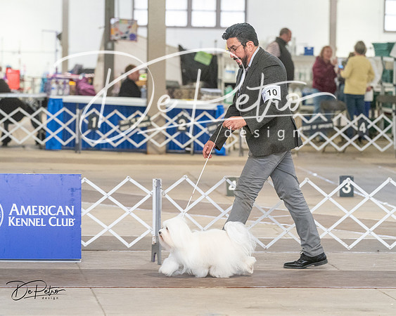 20240328-DSC02951