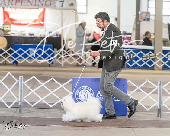 20240328-DSC02964