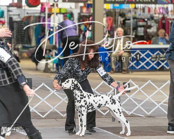 20240328-DSC02974