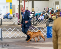 20240328-DSC02244