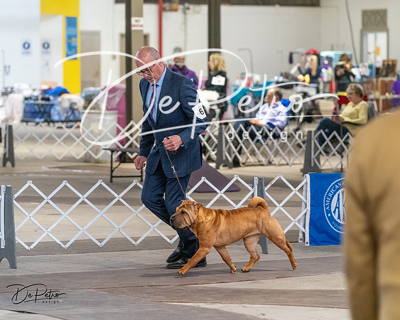 20240328-DSC02244