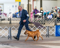 20240328-DSC02248