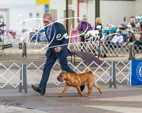 20240328-DSC02248