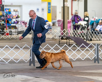20240328-DSC02252