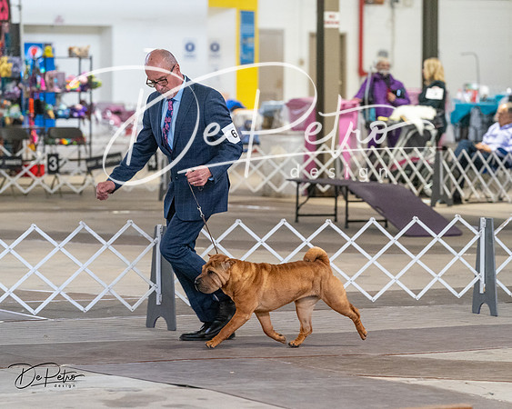 20240328-DSC02252