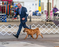20240328-DSC02256