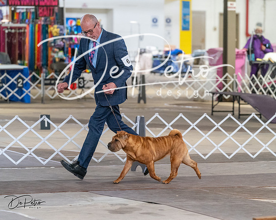 20240328-DSC02256