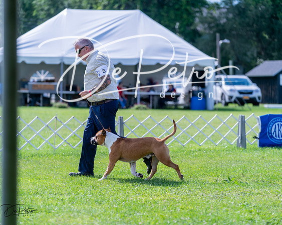 20240630-DSC03500