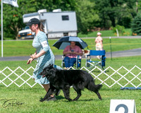 20250629-DSC00767