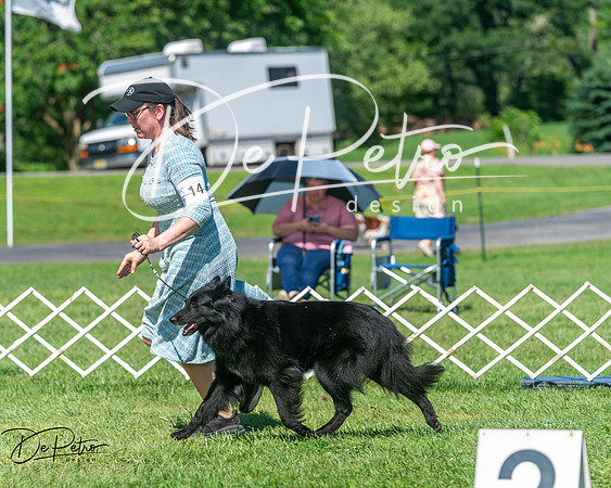 20250629-DSC00767