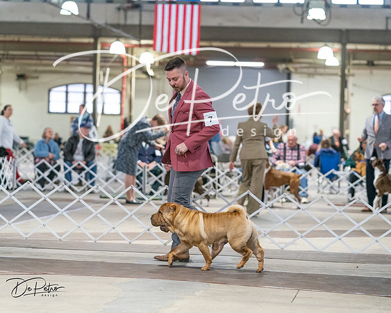 20240330-DSC06013
