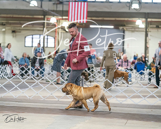 20240330-DSC06014