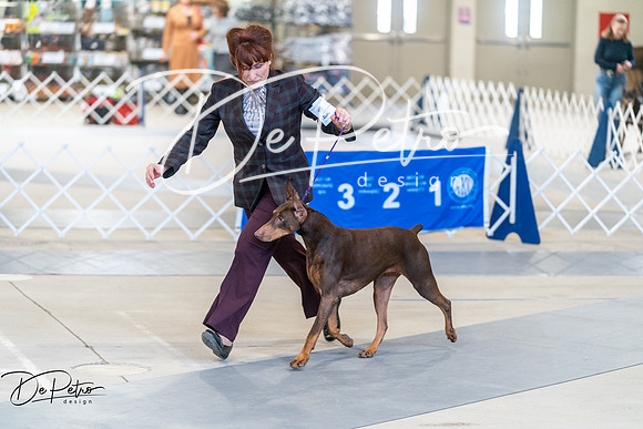 20250301-DSC02840