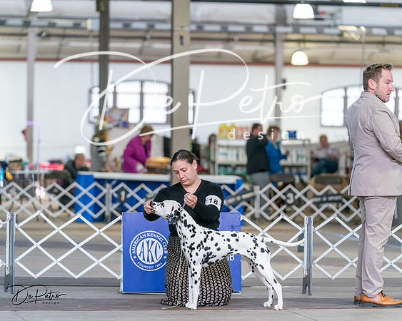 20240330-DSC00234