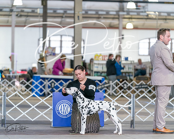 20240330-DSC00233