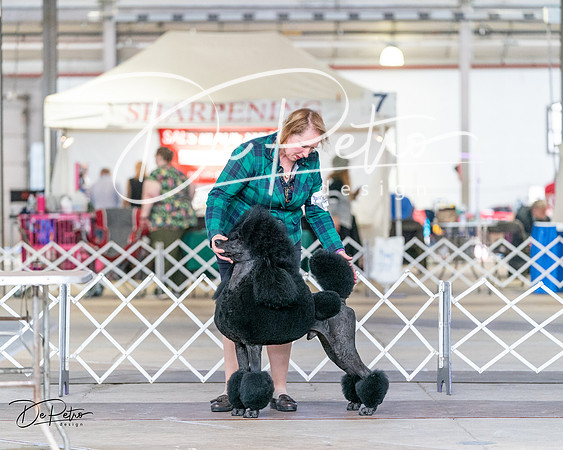 20240330-DSC00226