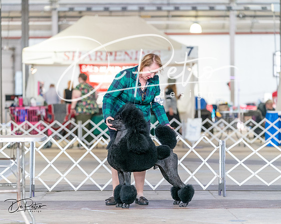 20240330-DSC00227